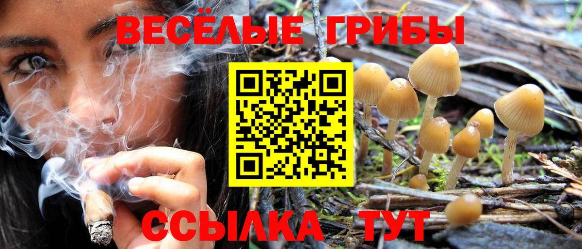 Псилоцибиновые грибы ЛСД Донской