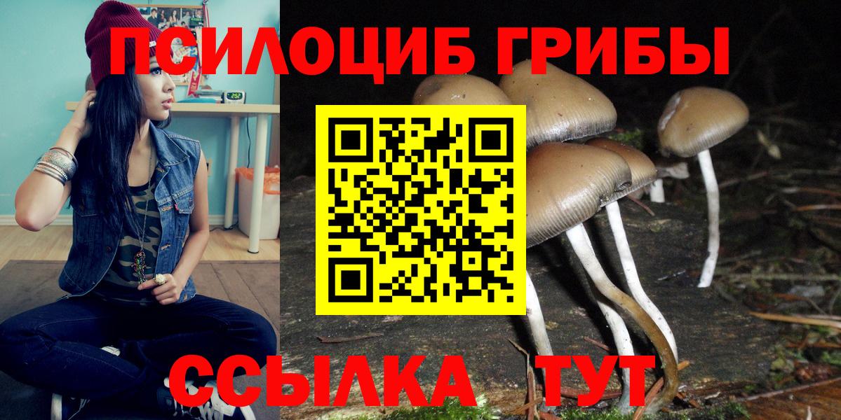 Донской  Галлюциногенные грибы Magic Shrooms  Вход с VPN 
