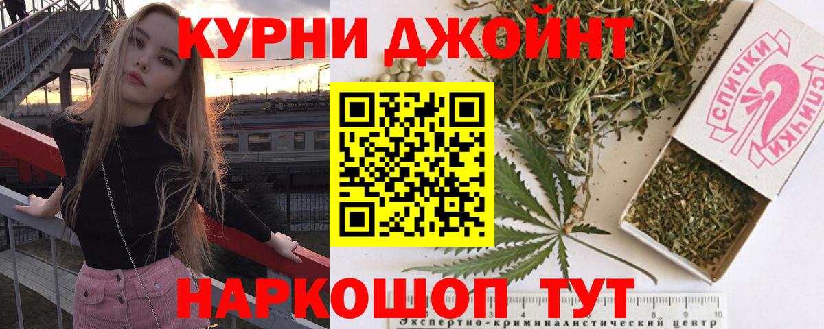 Конопля конопля Донской